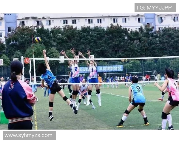 成都排球队技术实力强劲荣登全国排球技术排行榜第七名