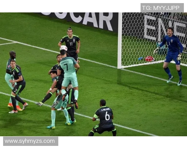 法国与葡萄牙防守战术解析谁能在对抗中占据上风