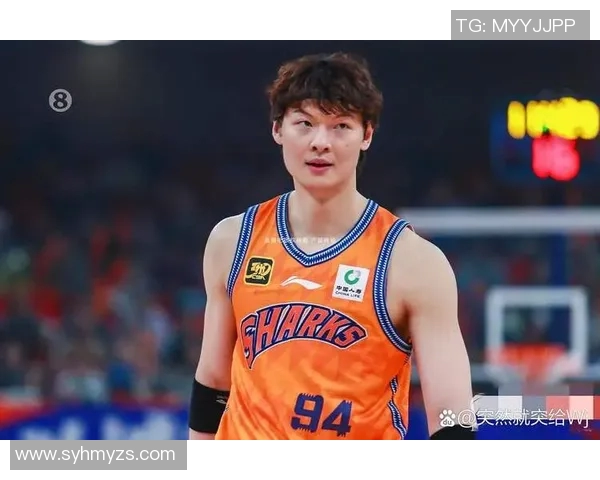 王哲林在篮球赛场的崛起与挑战解析他的职业生涯与未来发展方向