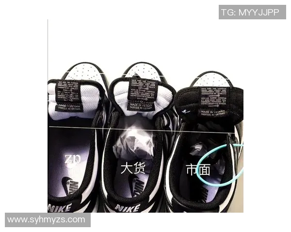 进口皮与原厂皮的优劣比较及选择指南解析