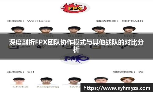 深度剖析FPX团队协作模式与其他战队的对比分析