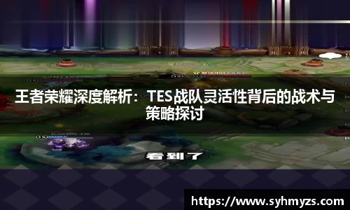 王者荣耀深度解析：TES战队灵活性背后的战术与策略探讨